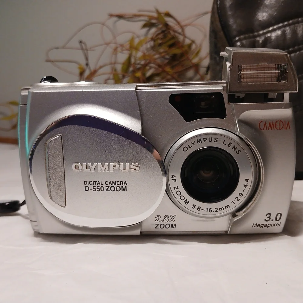 Olympus Silver Camedia D-550 Compact Digital Camera And Canon With Beat Up Case